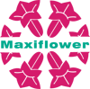 Maxiflower.be