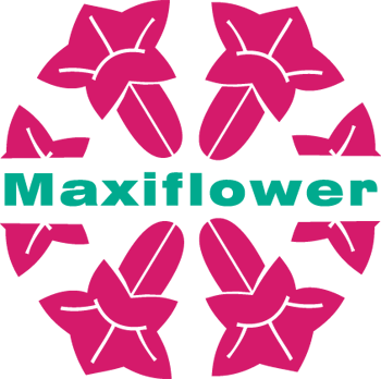 Maxiflower.be